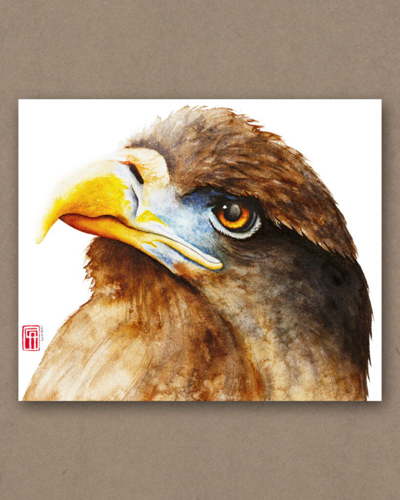 Aquarell eines braunen Adlers