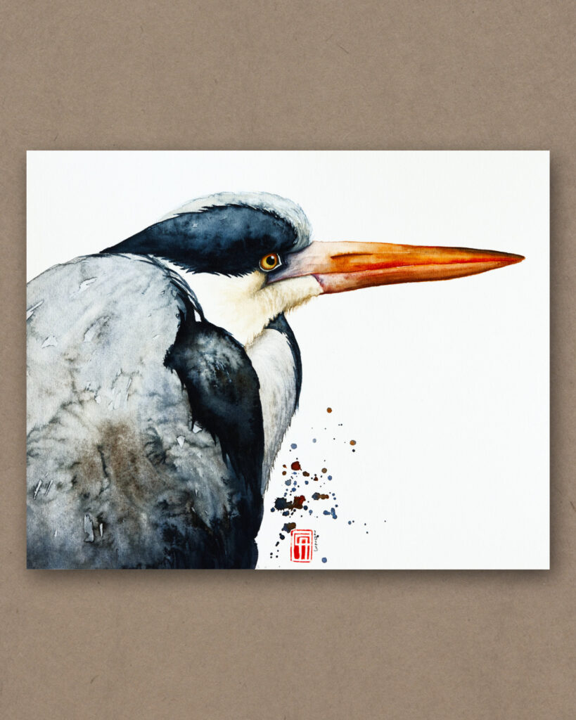 Aquarell eines Graureihers