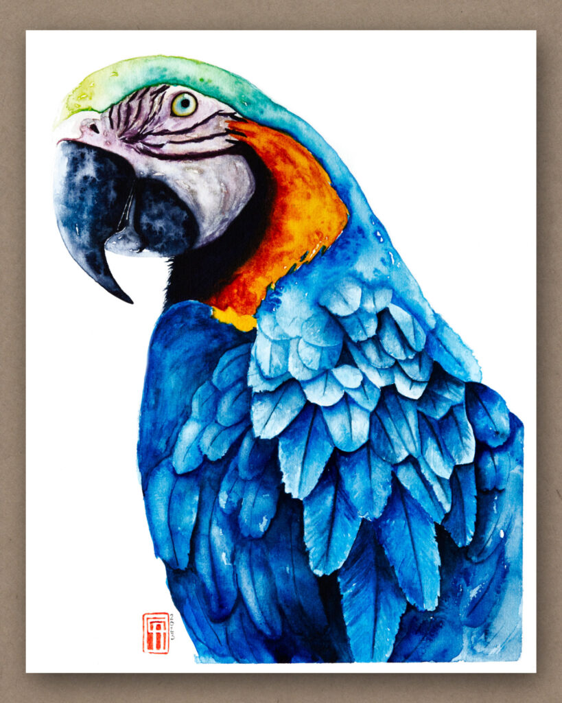 Aquarell eines blauen Ara