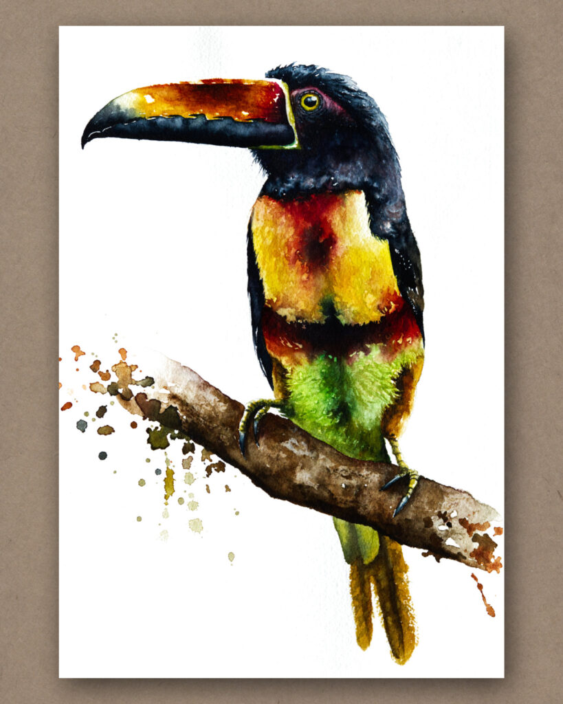 Aquarell eines Blautukans