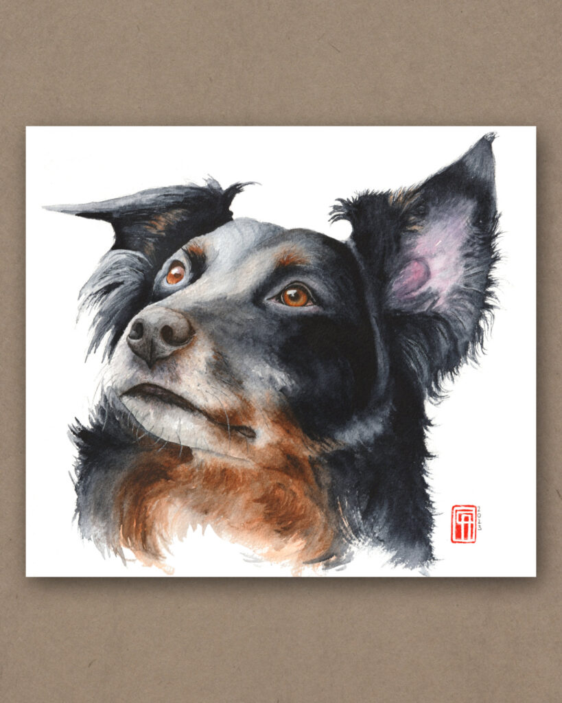 Aquarelle - Pet Portraits