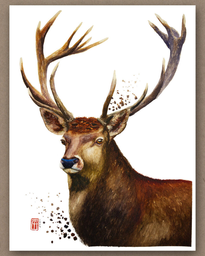 Aquarell eines Rothirsches mit dem Titel King of the Forest