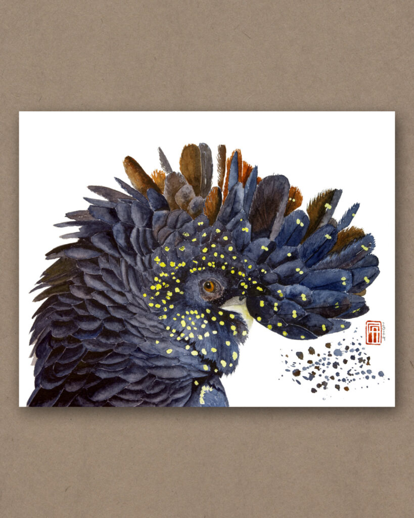 Aquarell eines schwarzen Kakadu