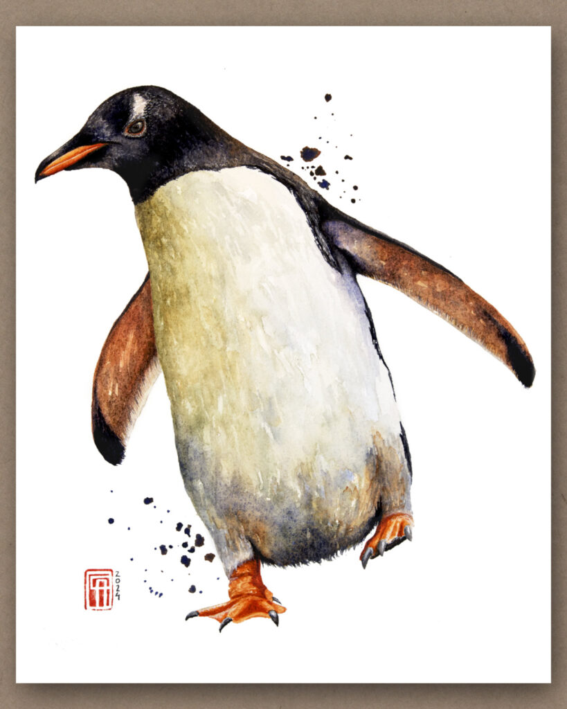 Aquarell eines Eselspinguin