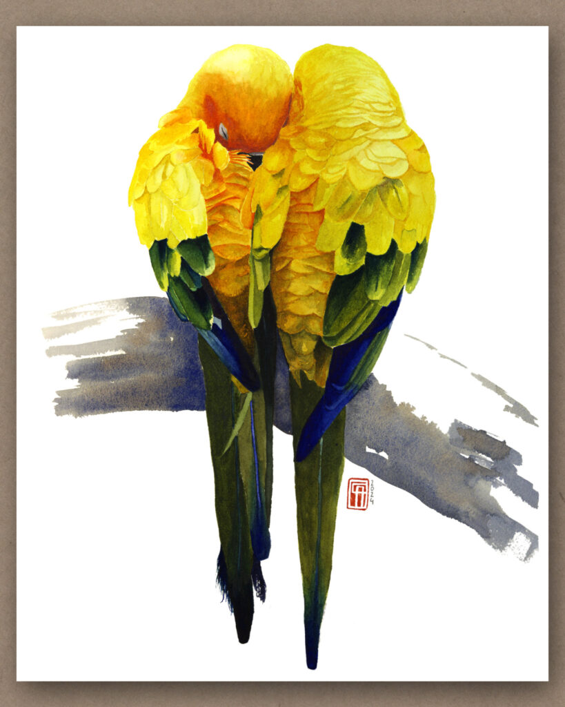 Aquarell zweier gelber Papageien, die auf einem Ast eng aneinander gekuschelt schlafen