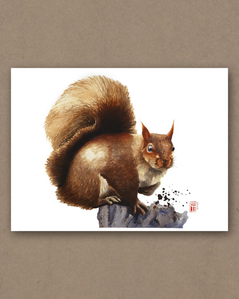 Aquarell eines Eichhörnchen