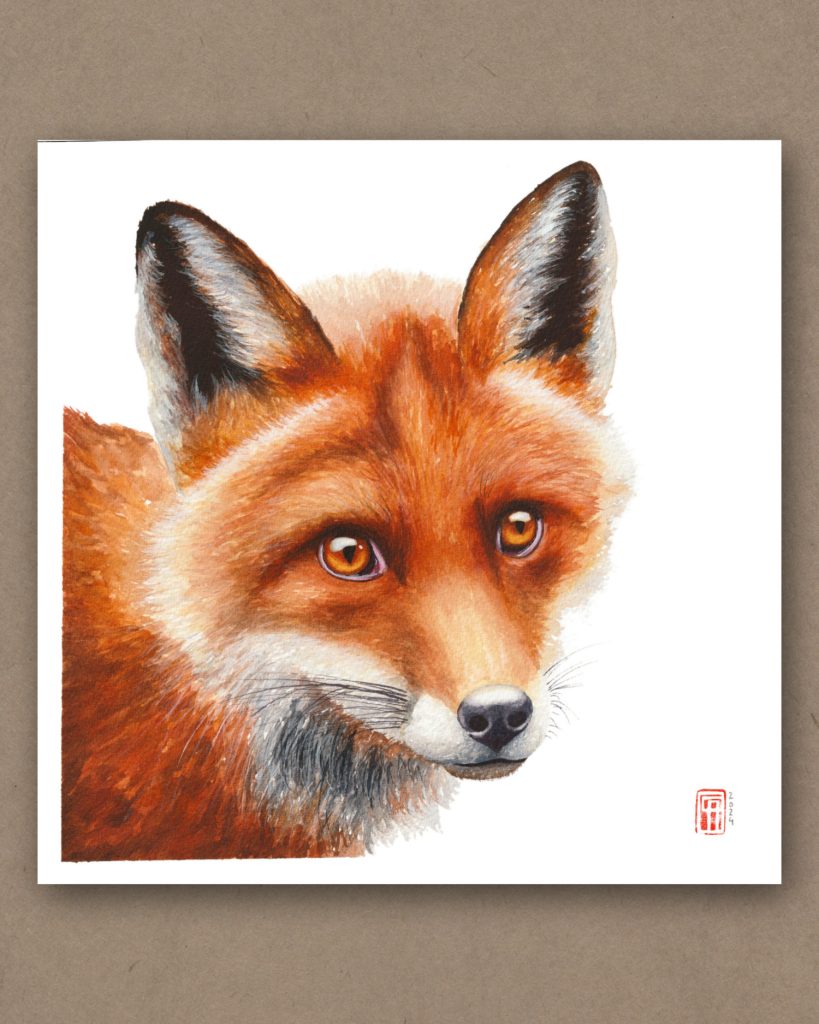 Aquarell eines Rotfuchs