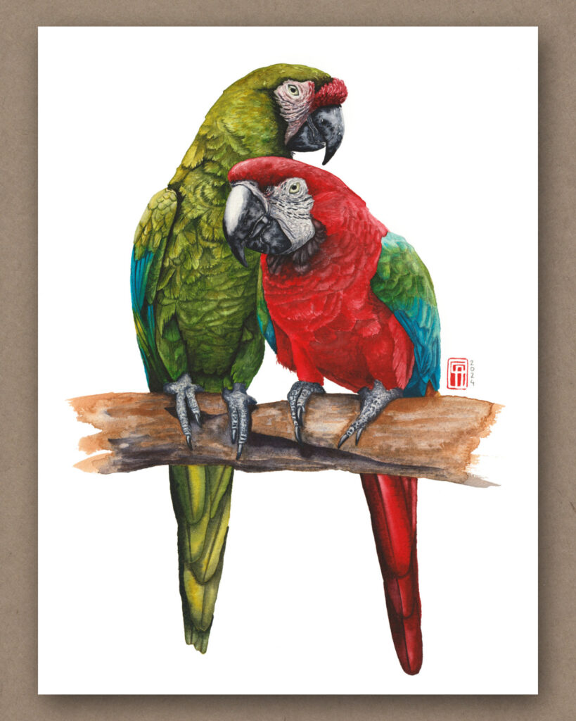 Aquarell eines grünen und roten Ara (Military and Scarlet Macaw) auf einem Ast