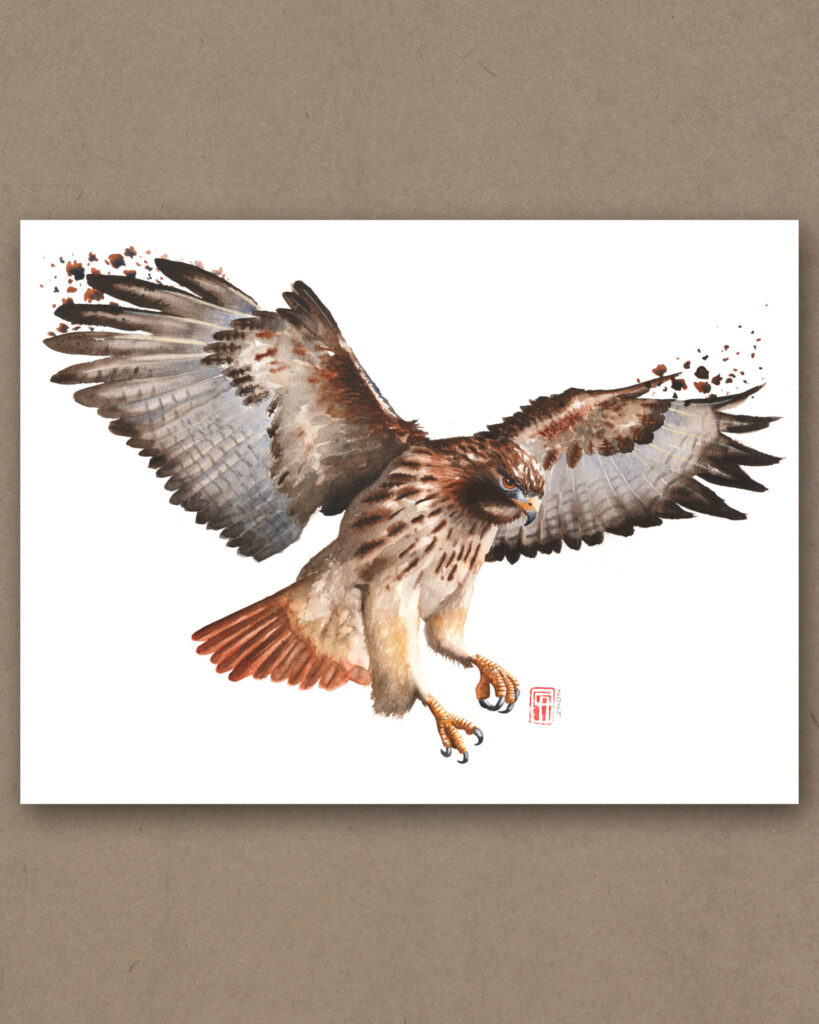 Aquarell eines Rotmilan bei der Jagd