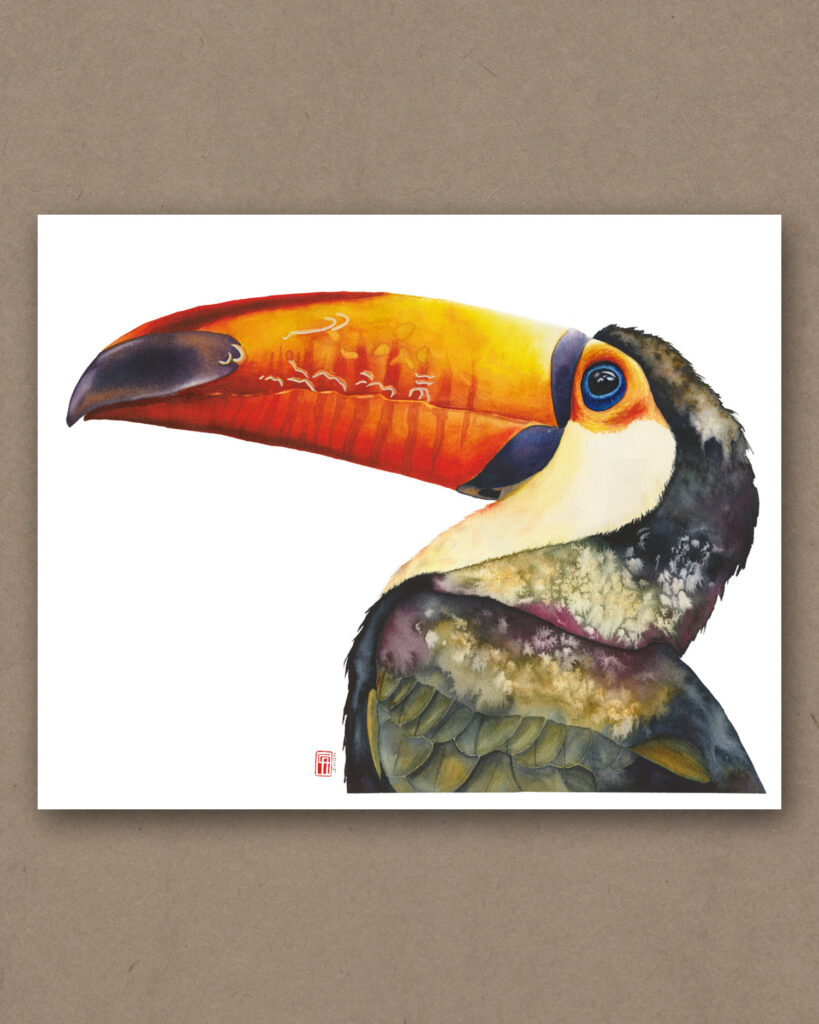 Aquarell eines Riesentukan (Toco Toucan)