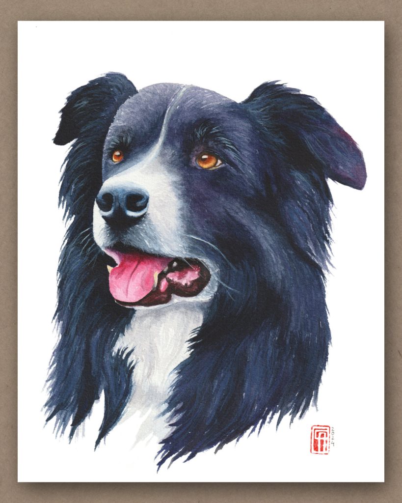 Aquarellportrait eines Border Collie