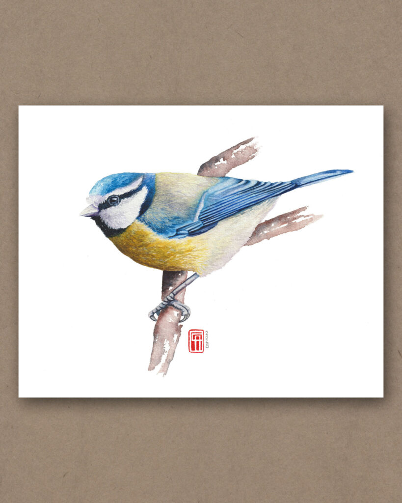 Aquarell einer Blaumeise