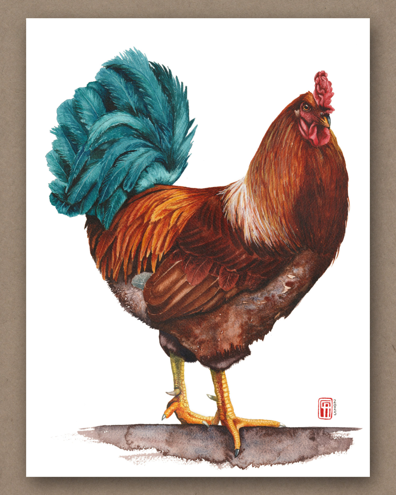 Aquarell eines Hahn