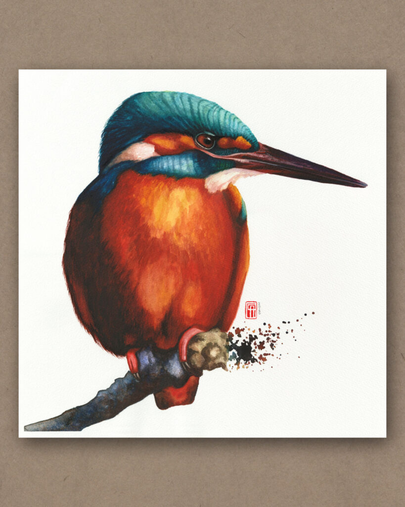 Aquarell eines Eisvogel (Kingfisher)