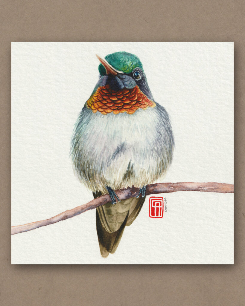 Aquarell Gemälde eines Kolibri auf einem Ast