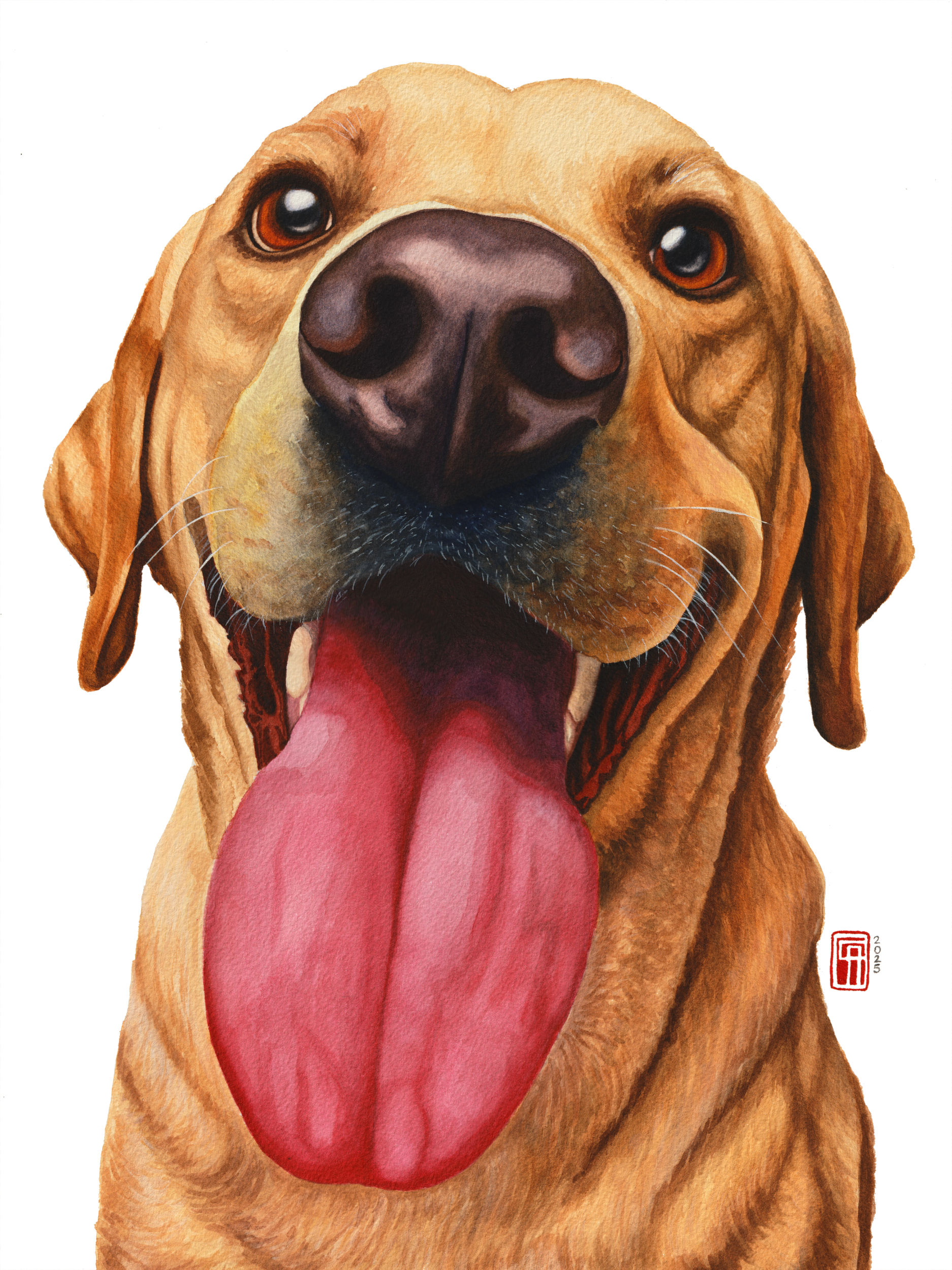 Aquarell, Haustierportrait eines Labrador