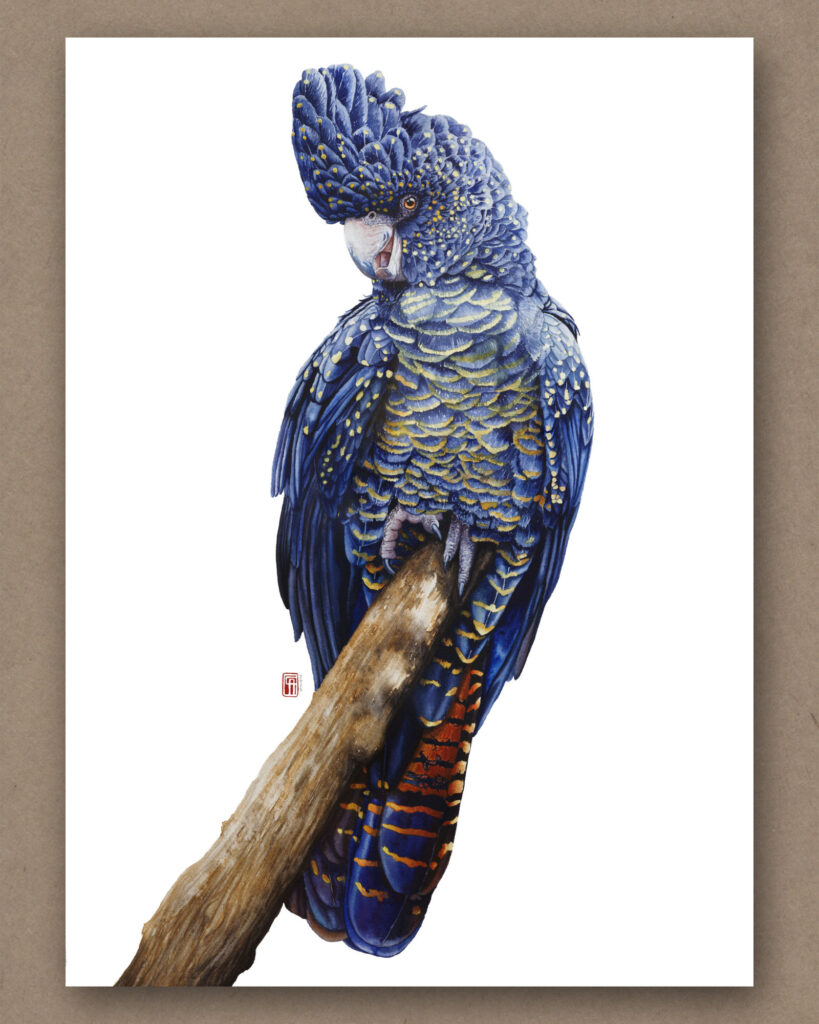 Aquarell eines Rabenkakadu, der schelmisch auf einem Ast sitzt