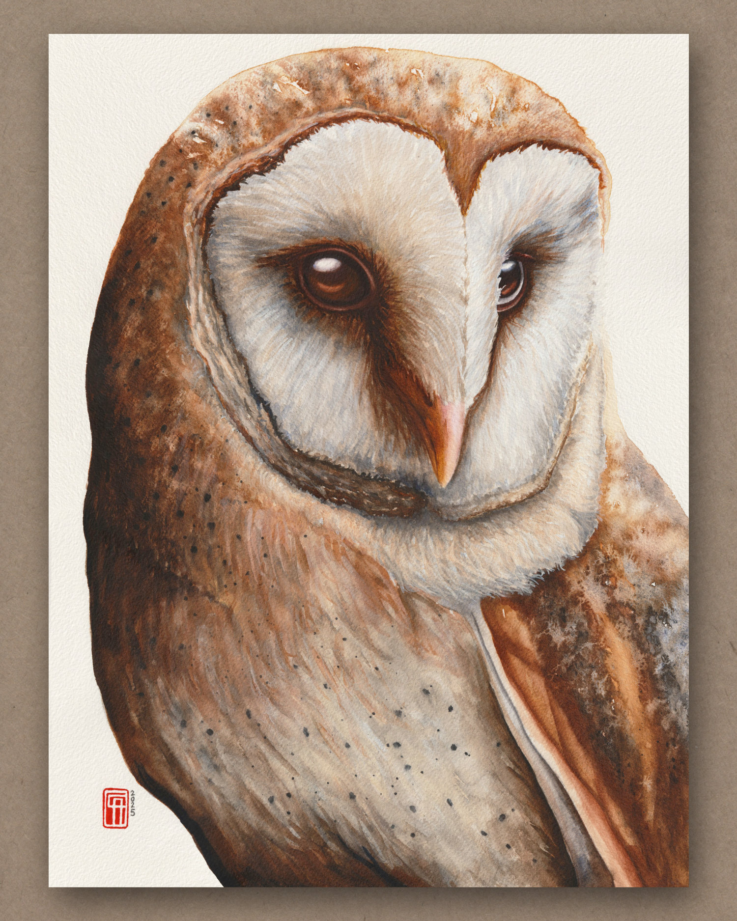 Aquarell einer Schleiereule