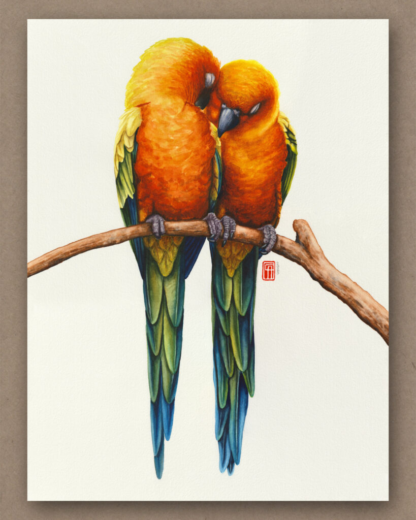 Aquarell zweier Sonnensittiche, die aneinander gekuschelt auf einem Ast sitzen