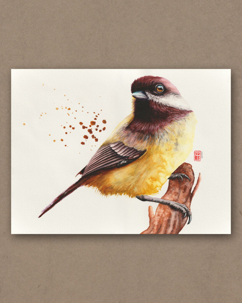 Aquarell einer Kohlmeise auf einem Ast im rot der Abendsonne