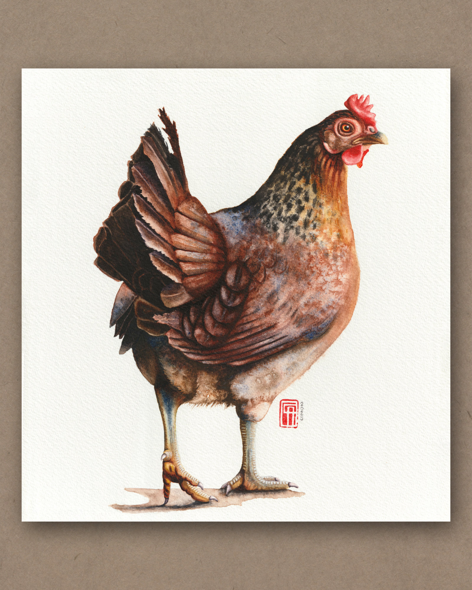 Aquarell eines Landhuhn