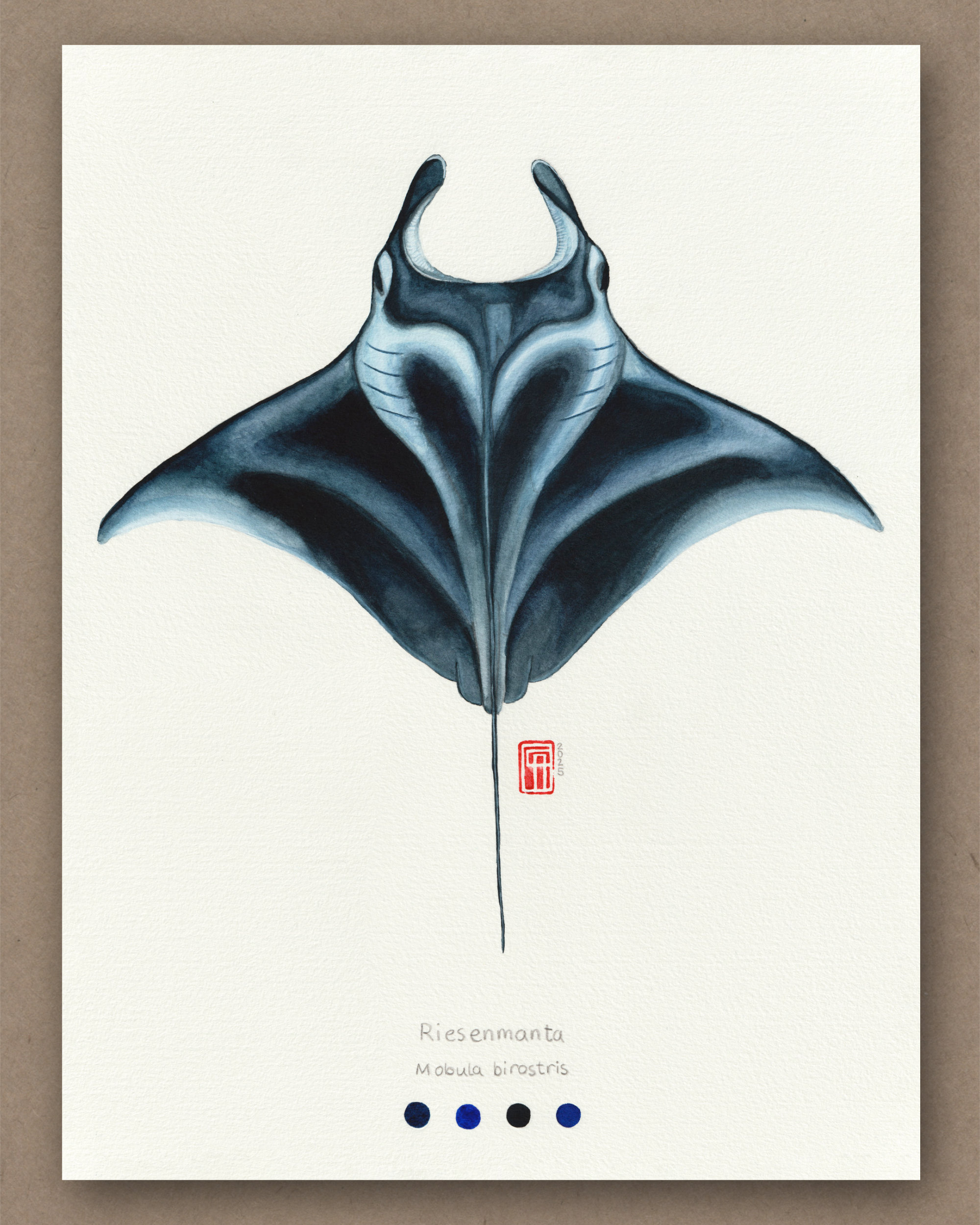 Aquarell eines Riesenmanta