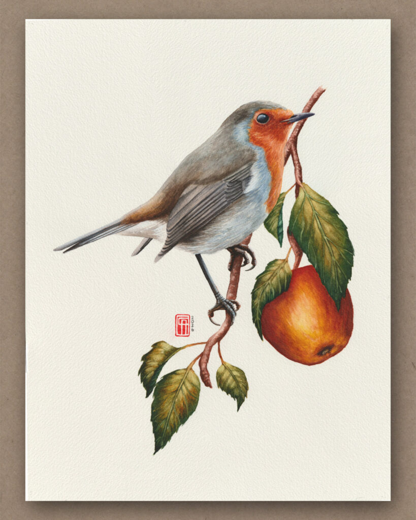 Aquarell eines Rotkehlchens auf einem Ast eines Apfelbaums