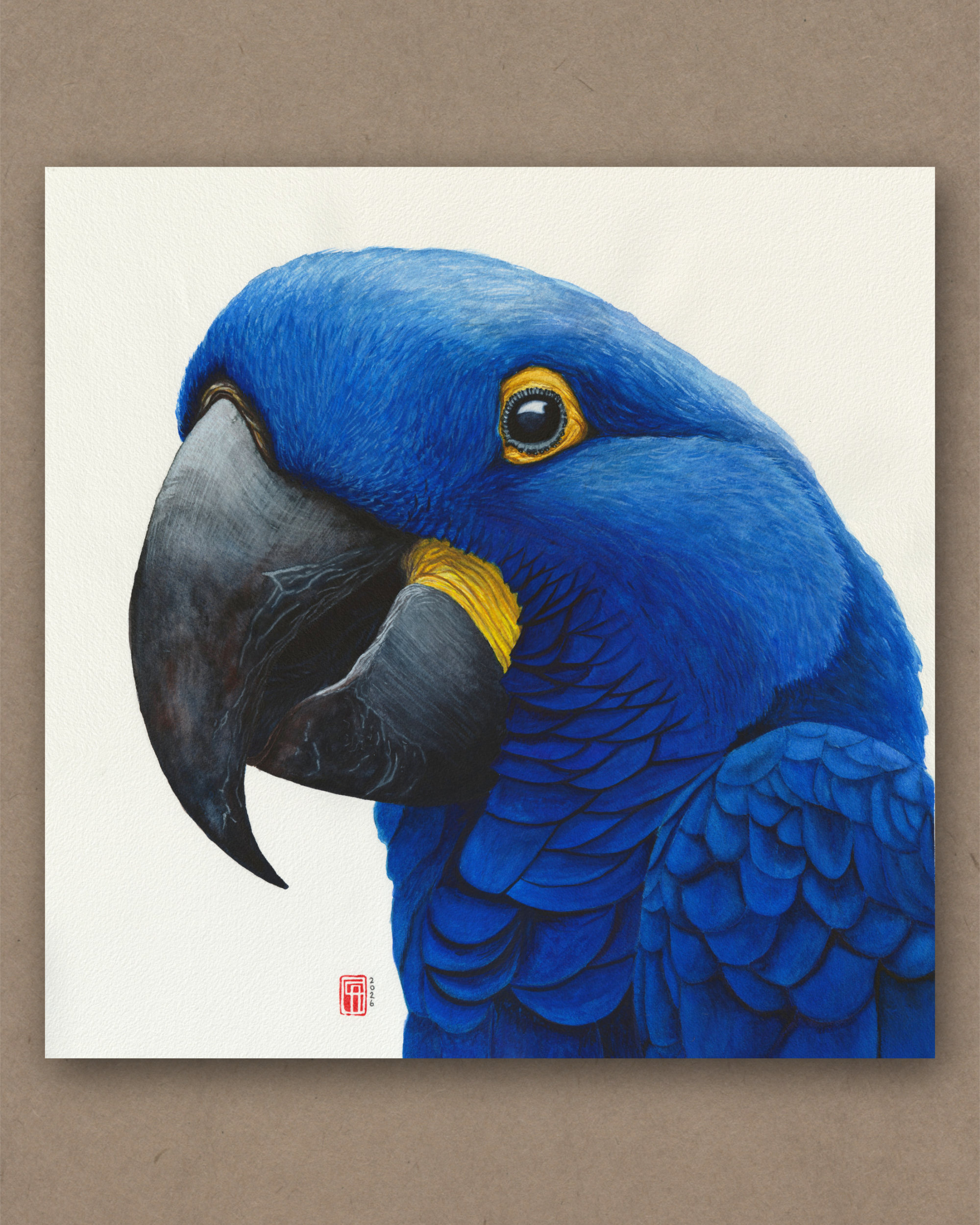 Aquarell eines Hyazinth Ara als Porträt