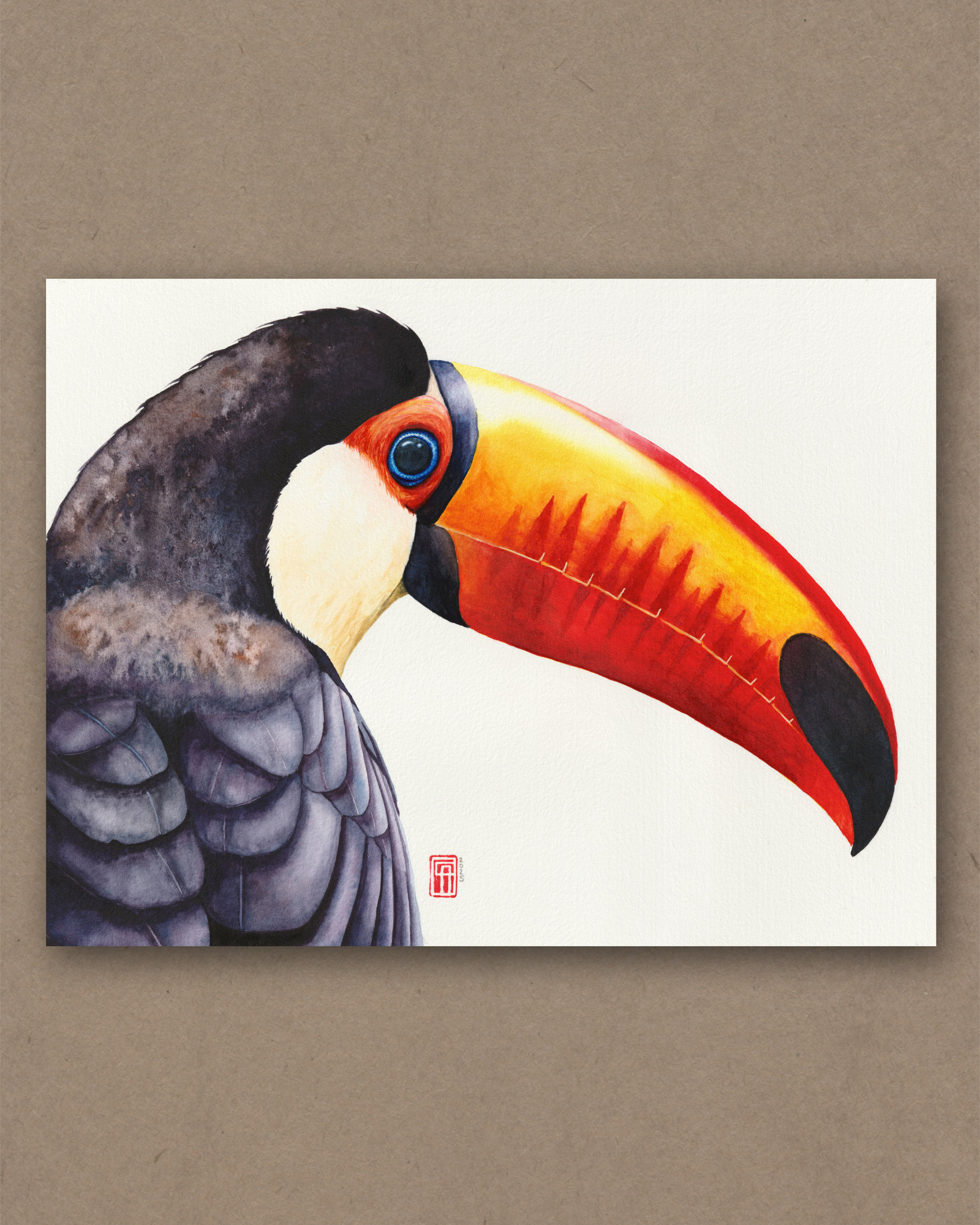 Aquarell eines Riesentukan