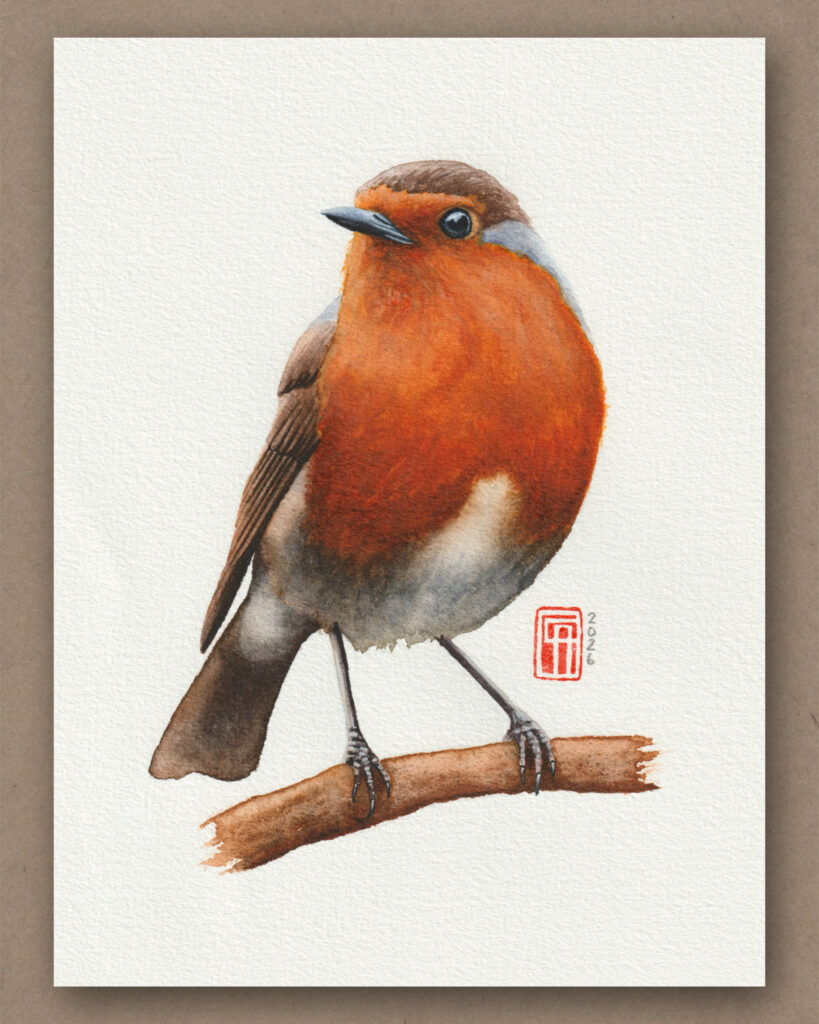 Handgemaltes Aquarellgemälde eines Rotkehlchen