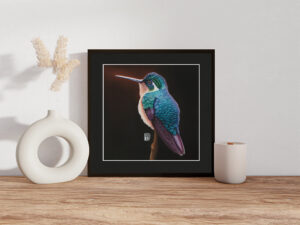 Soft-Pastellgemälde einer weiblichen Pupurkehlnymphe (Lampornis calolaemus)