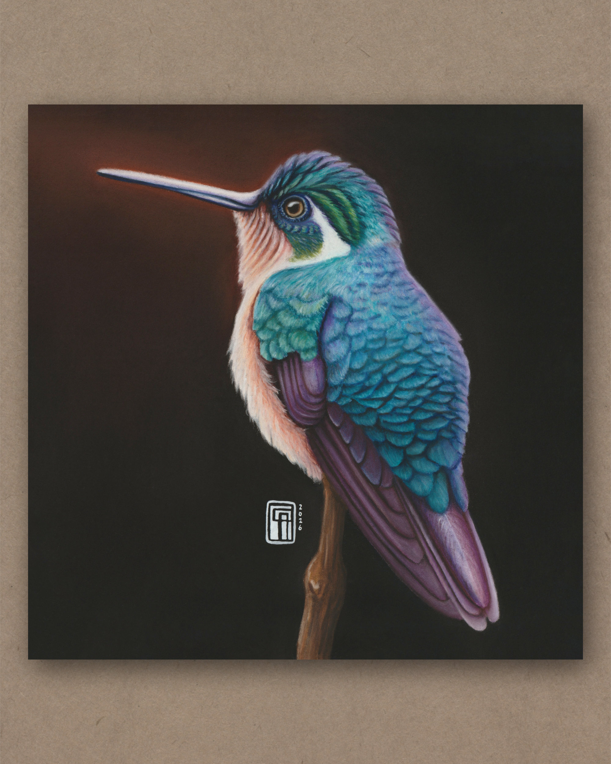 Soft-Pastellgemälde einer weiblichen Pupurkehlnymphe (Lampornis calolaemus)