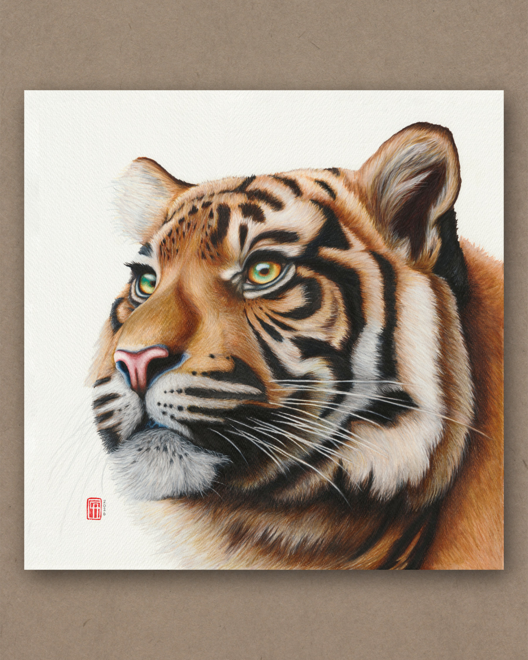 Königstiger Aquarellgemälde eines bengalischen Königstiger (Panthera tigris tigris)