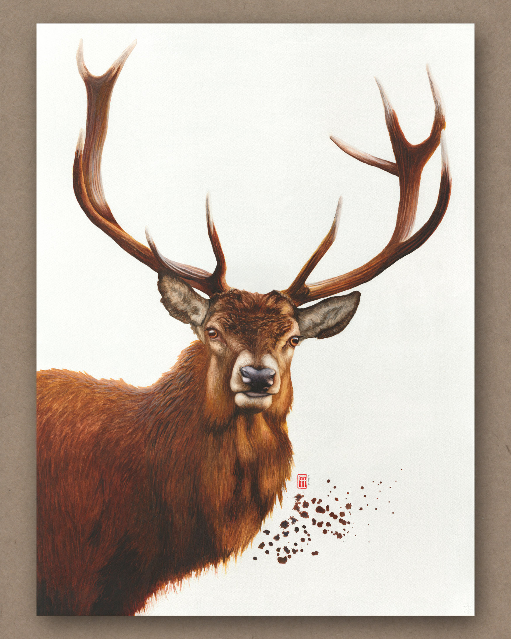 Aquarell eines europäischen Rothirsch (Cervus elaphus)