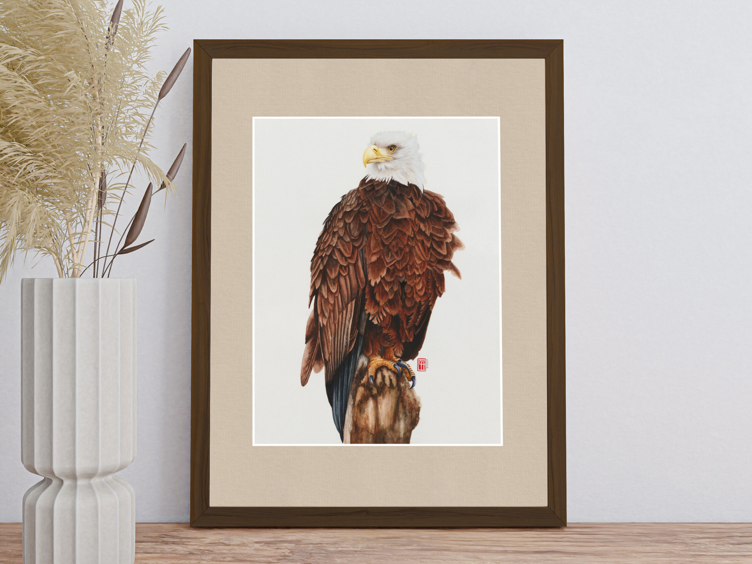 Gerahmtes Aquarellgemälde eines Weißkopfseeadler (Haliaeetus leucocephalus)